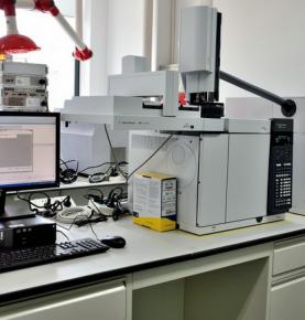 Gas chromatography system