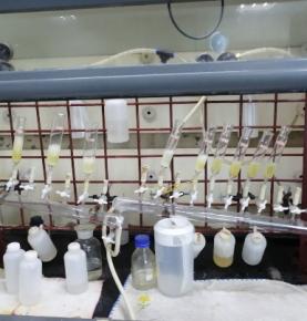 production line 5