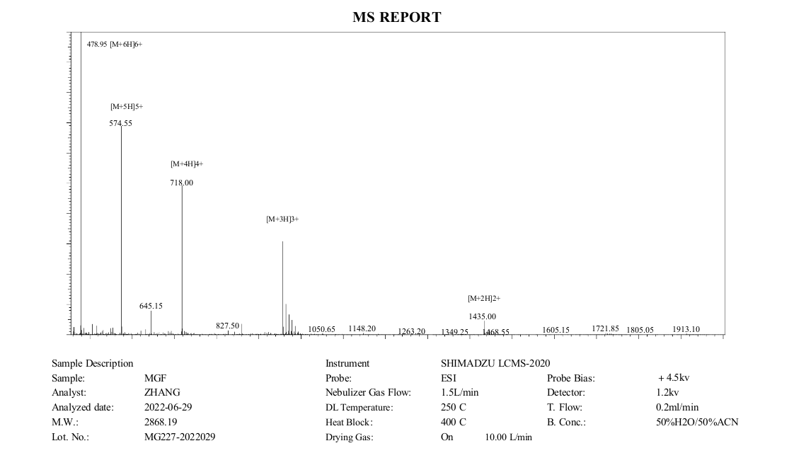 MGF+MS+(MC+2022.06).png